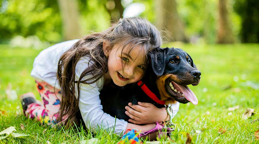 como lograr que los perros y nos ninos se lleven bien