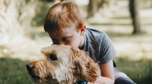 quiero que mi hijo aprenda a entrenar a mi perro