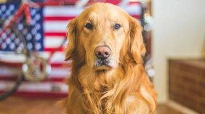 Proteccion de recursos